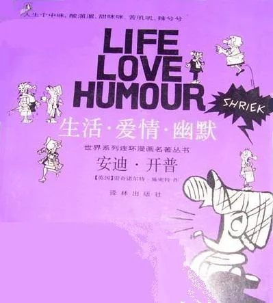 《安迪・开普》封面图 - （英）雷・施密特