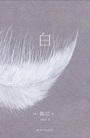 《白》封面图 - 韩江陈允然绘