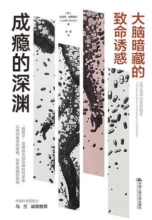 《成瘾的深渊》封面图 - 朱迪思·格里塞尔