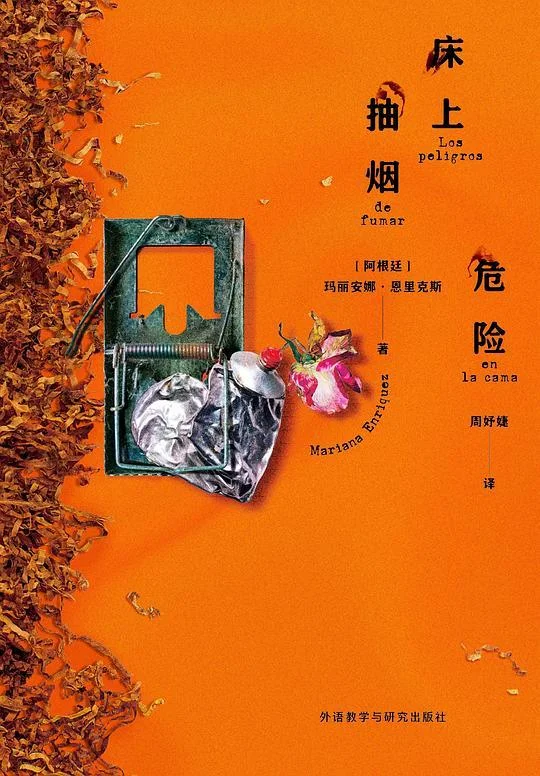 《床上抽烟危险》封面图 - 玛丽安娜·恩里克斯