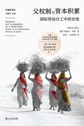 《父权制与资本积累》封面图 - 玛丽亚·米斯