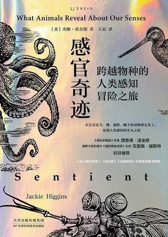 《感官奇迹》封面图 - 杰姬·希金斯