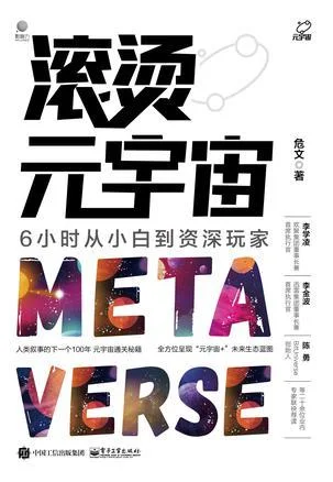 《滚烫元宇宙》封面图 - 危文
