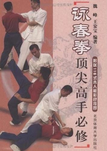 《咏春拳顶尖高手必修》封面图 - 魏峰