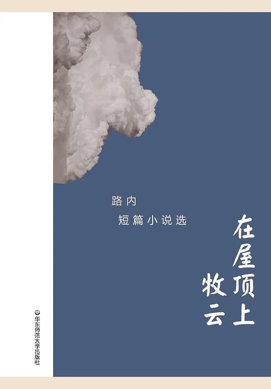 《在屋顶上牧云》封面图 - 路内