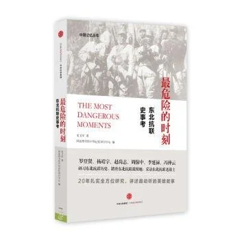 《最危险的时刻》封面图 - 史义军