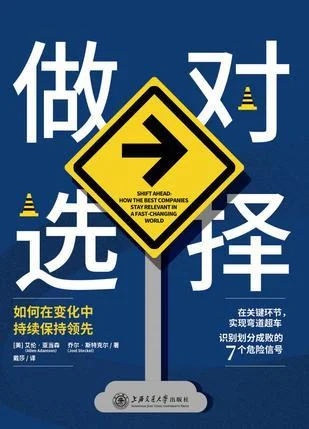 《做对选择》封面图 - 艾伦·亚当森乔尔·斯特克尔